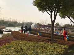 门面-歌斐颂巧克力小镇