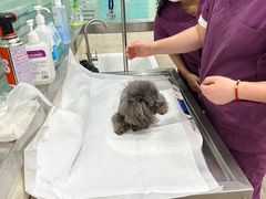 -暖阳宠物医院·犬猫康复中心·骨科