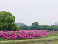 -良渚古城遗址公园