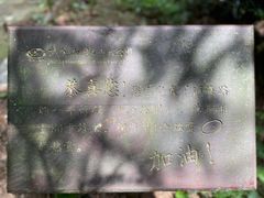 -武陵山森林公园