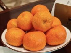 -南堂馆·新川菜(天府三街店)