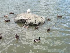 -海珠湖公园