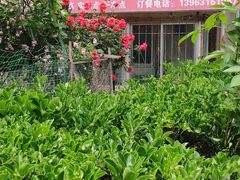 -三点小吃(山大店)