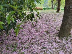 -贵阳市花溪国家城市湿地公园