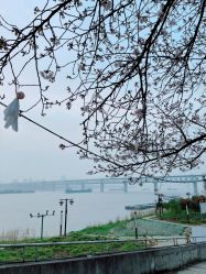 -晴川假日酒店·宴会厅·会议厅