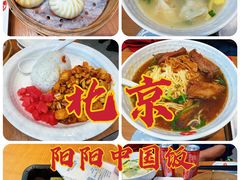 -阳阳中国饭(北京荟聚店)