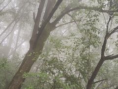 -少华山国家森林公园