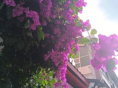 -老灶房-四川土菜(开元店)