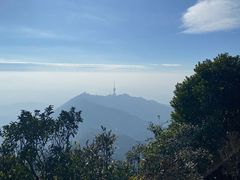 -梧桐山风景名胜区