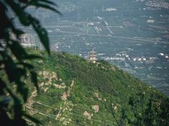 -大觉寺-停车场