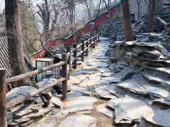 -大觉寺-停车场