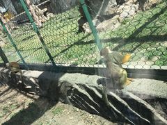 -新疆天山野生动物园