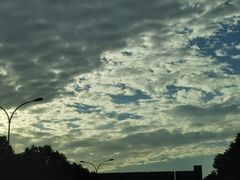 -君来湖滨饭店·玫瑰园
