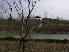 -柳鹭田园区