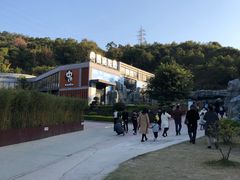 -泉州海丝野生动物世界