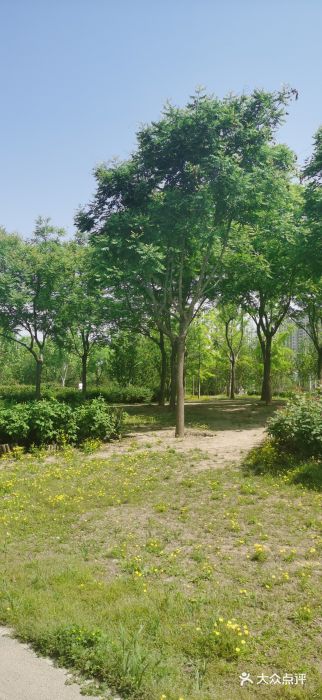 坝河休闲公园图片