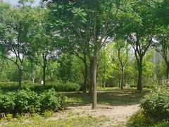 -坝河休闲公园