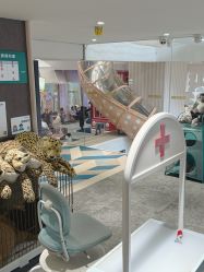 -奈尔宝·儿童乐园·亲子餐厅(华采天地店)