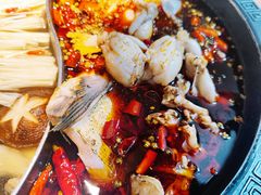 -销魂美蛙鱼头火锅(上海首店)