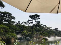 -罗红摄影艺术馆