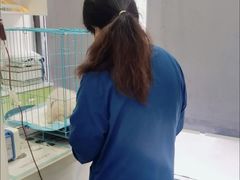 -佳怡动物医院·平价24小时·猫专科骨外科