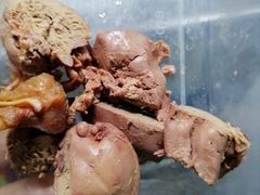 -九多肉多(103店)