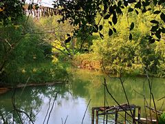 景点-大湾区中央湿地公园