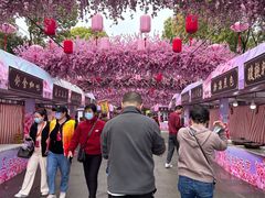 -南汇桃花村