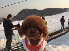 -蓟县盘山滑雪场