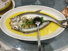 鸡汁长江嫩白鱼-小厨娘淮扬菜(天印大道店)