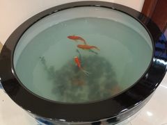 -夫子庙贵宾楼(钞库街店)