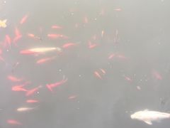 -南京国际会议大酒店