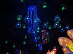 -广西壮族自治区药用植物园