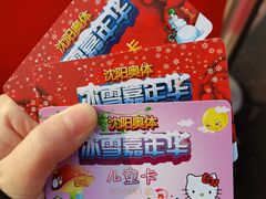 -沈阳奥体冰雪嘉年华