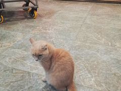 -赵记粽子(司前街店)