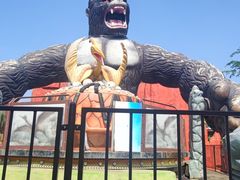 -白沙门生态公园