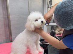 -宠福鑫康馨动物医院·骨科·眼科