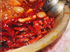 -小龙坎火锅(春熙太古里店)