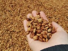 -星巴克臻选(南京艾尚天地店)