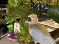 -郑猛记石岐鸽主题餐厅(长江店)