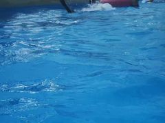 -上海玛雅海滩水公园