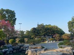 -东莞植物园