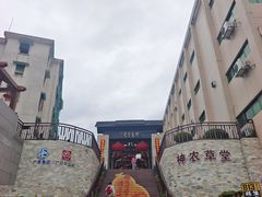 -广州神农草堂中医药博物馆
