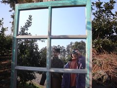 -柑橘农场
