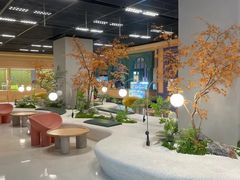 -帕帕拉兹宠物(亚洲旗舰店)