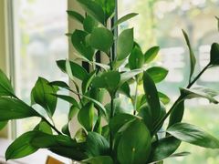 -甜阿姨·天台花园私房菜(万松园店)