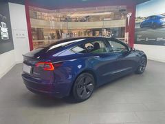 -TESLA 特斯拉(郑州正弘城体验店)