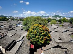 -中天楼