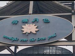 -荷塘月色湿地公园·向阳花洲
