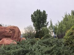 -森林公园(尖草坪区)